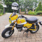 Pyramid Fly Screen Banana Yellow / Ross White for Honda Monkey 125 2018 - 2020
