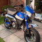 Pyramid Fly Screen Pearl Glittering Blue / Ross White for Honda Monkey 125 18-20